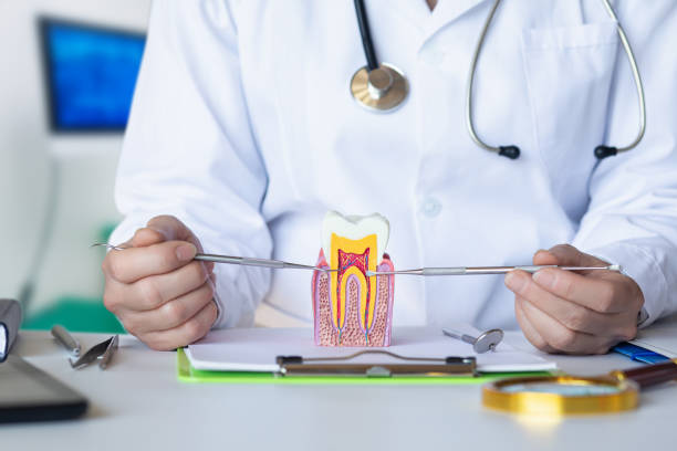 Best Emergency Tooth Extraction in Pemberville, OH